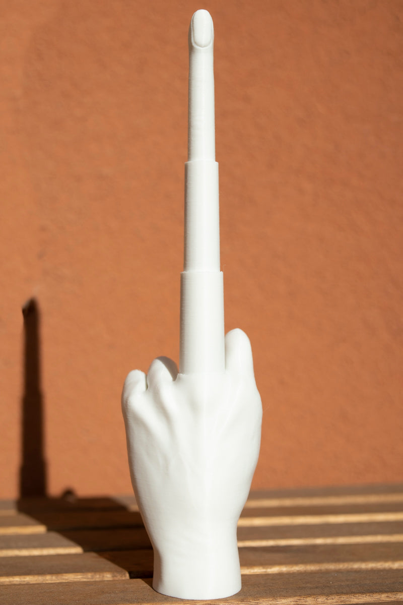 Universal means of expressing opinion