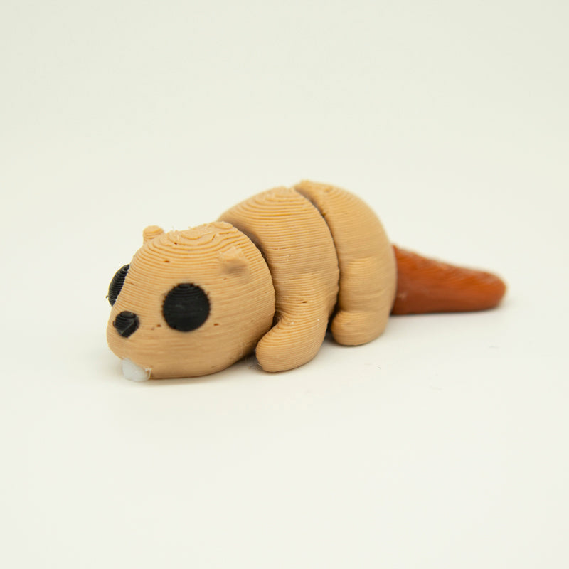 Beaver