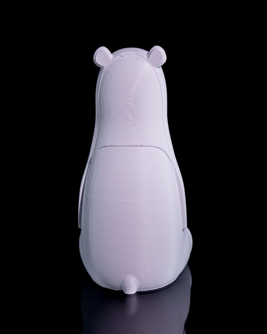 Ice bear storage