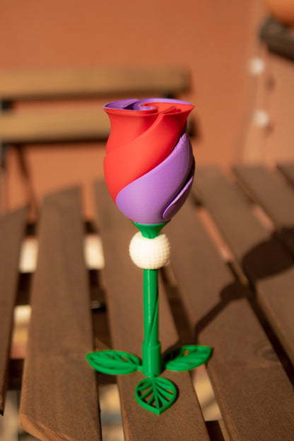 Twisted everlasting rose