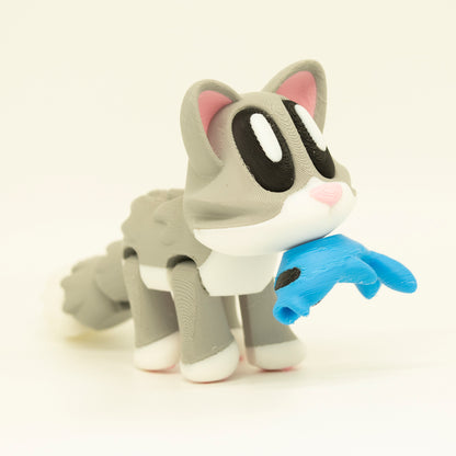 Giant-eyed kitten