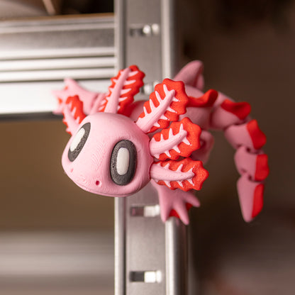 Mágnes talpú axolotl