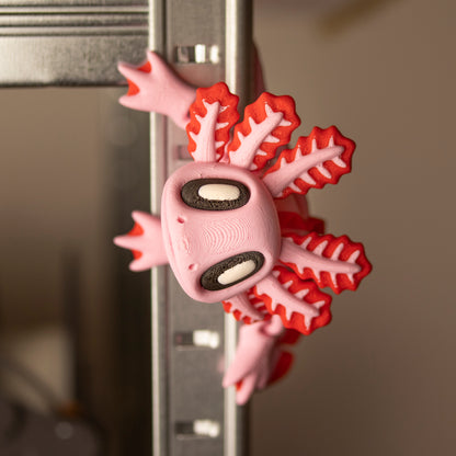 Mágnes talpú axolotl