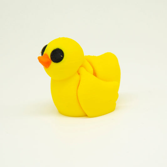 Duck