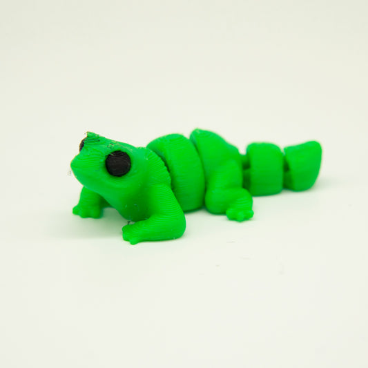 Lizard