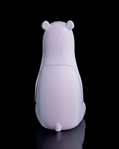 Ice bear storage